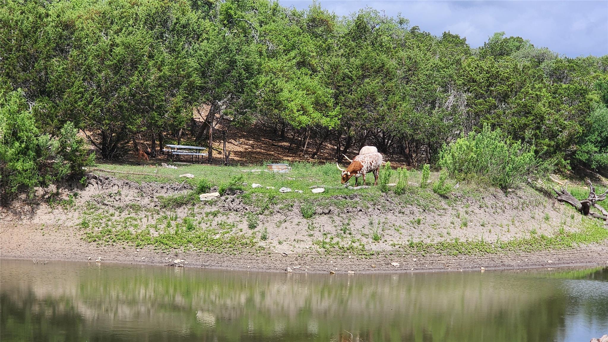 110 Longhorn