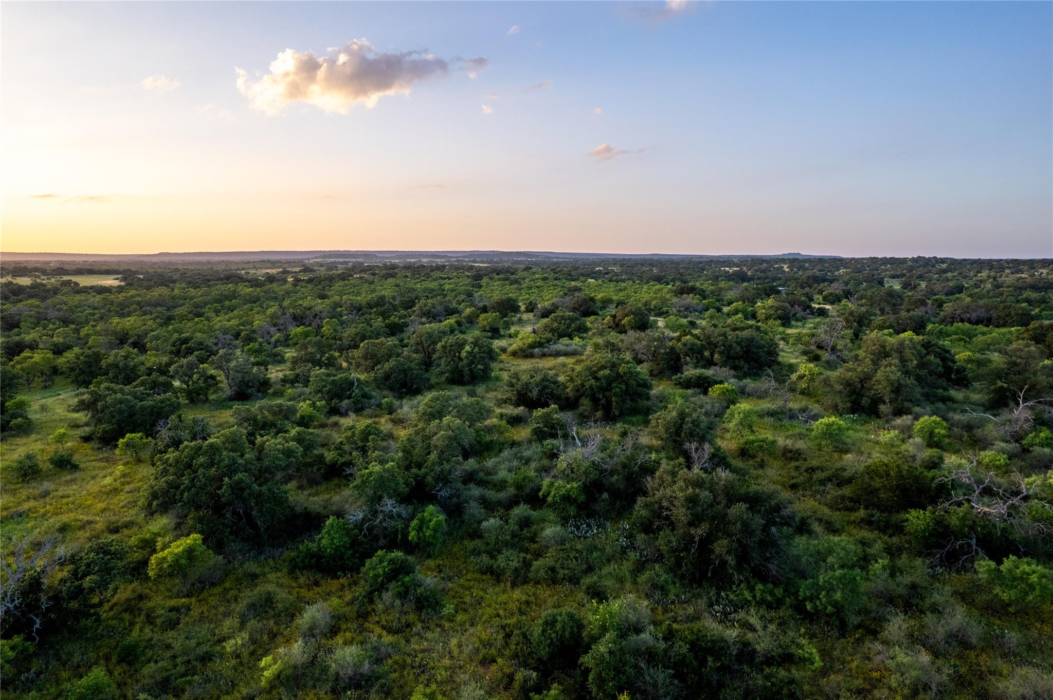 TBD Broke O