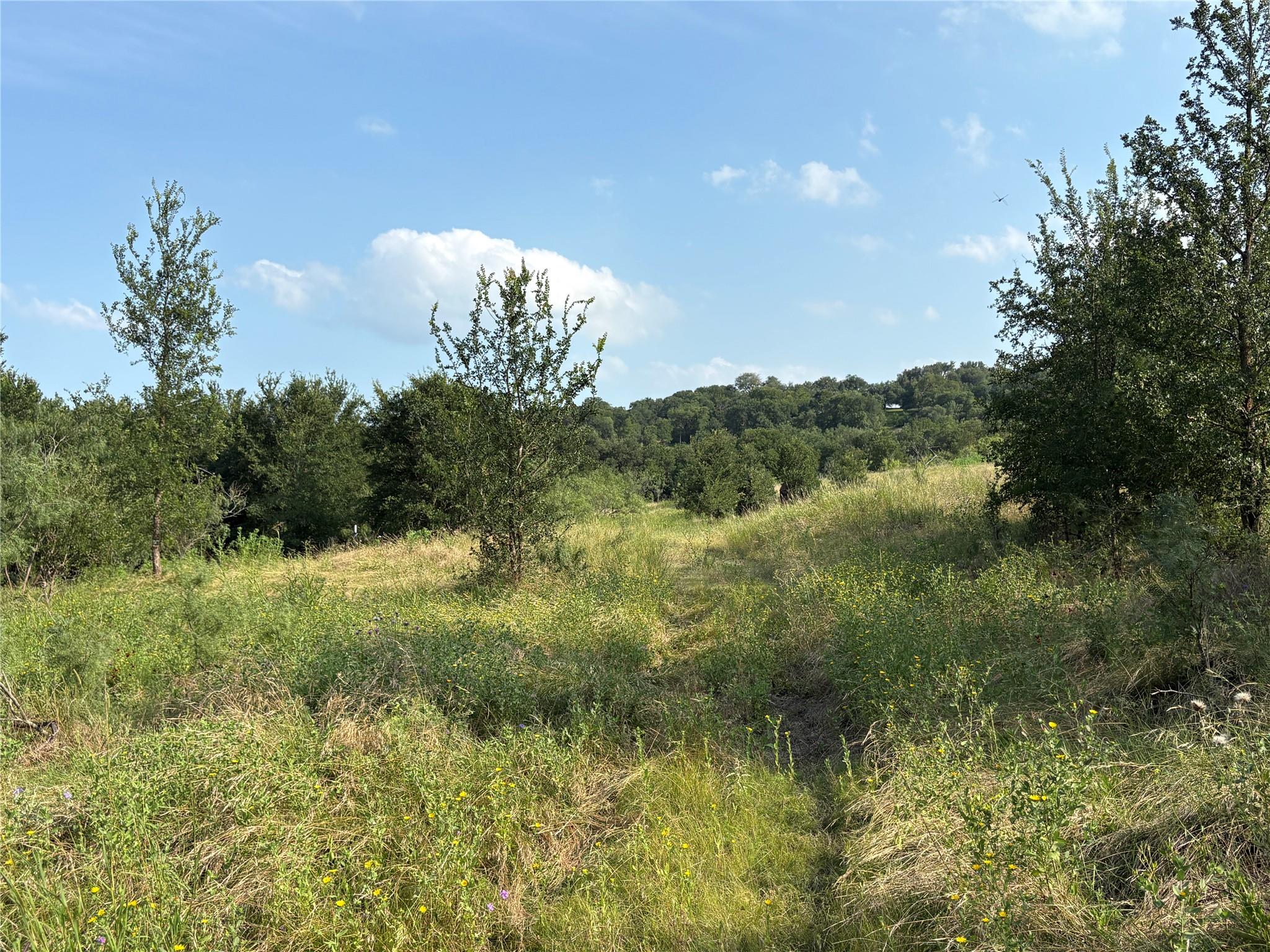 Photo 30