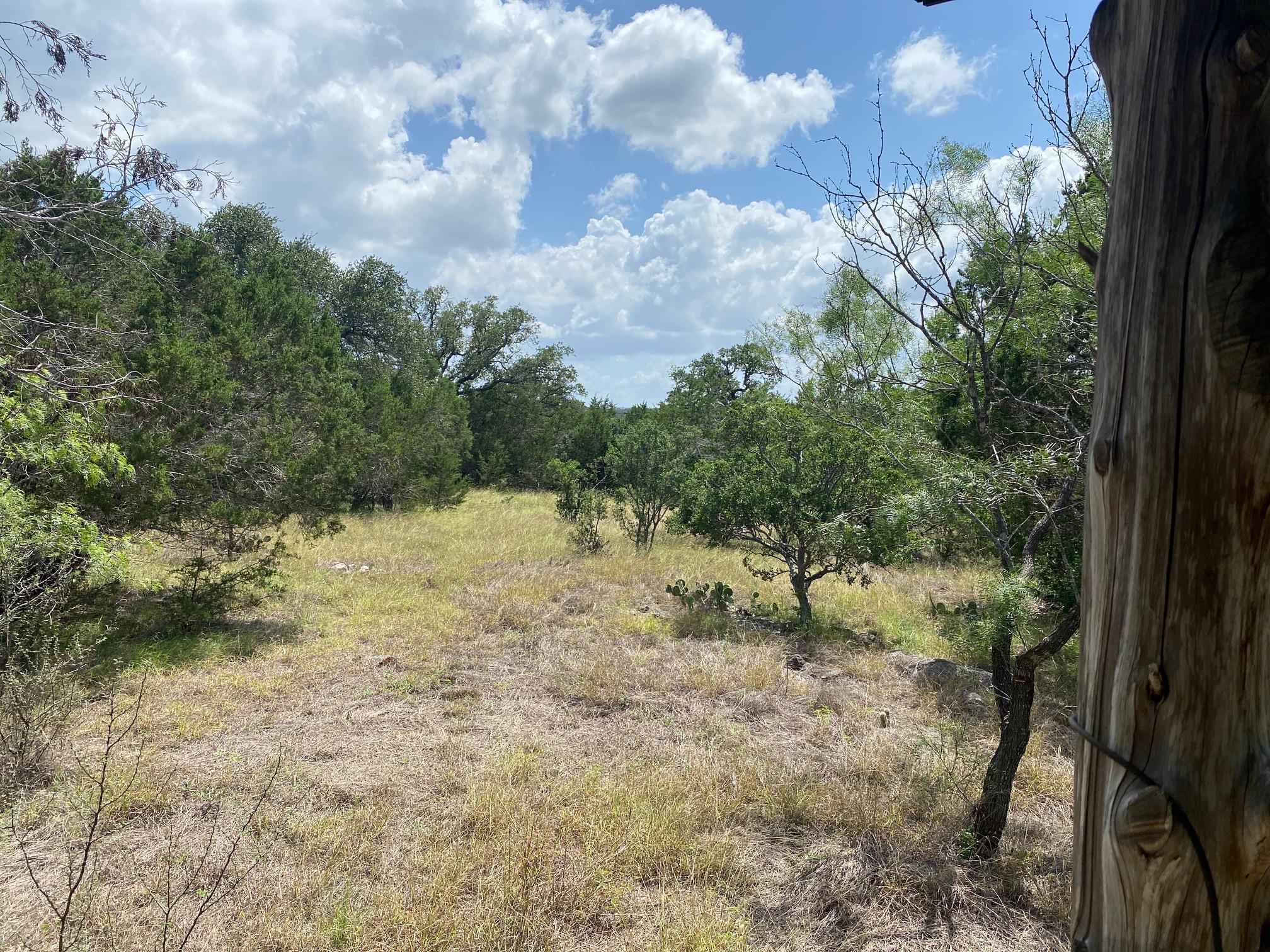 Lot 31 Pedernales Oaks