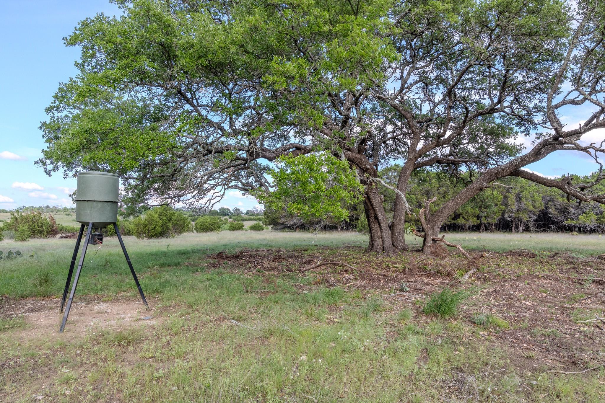 Lot 3 Bluestem