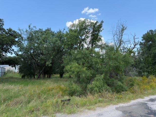 3523 Cactus