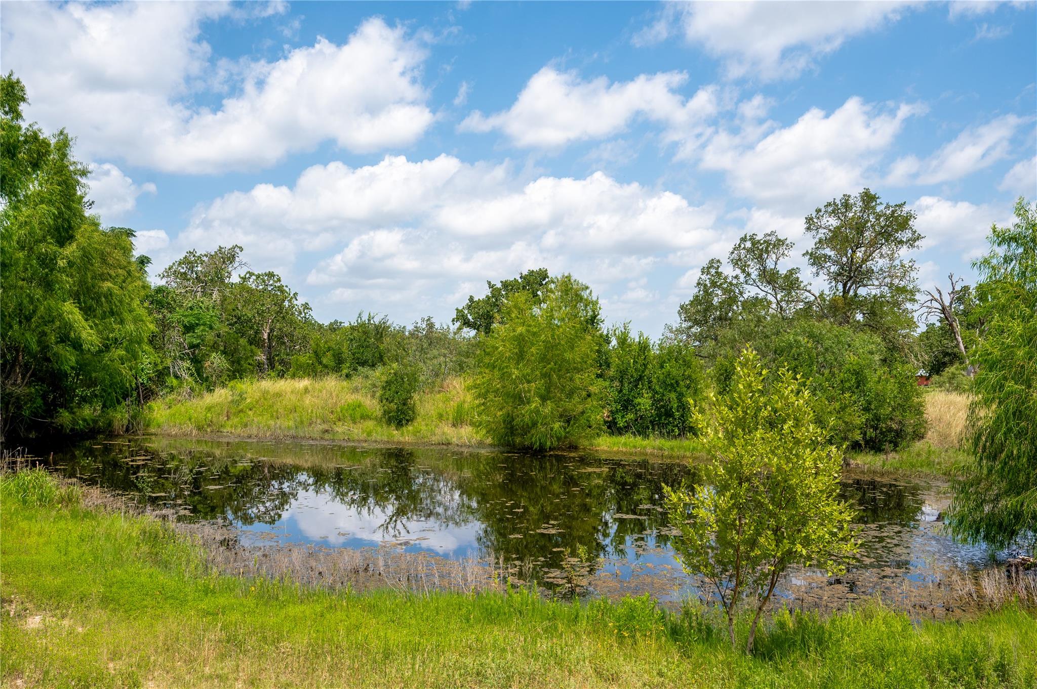Photo 39