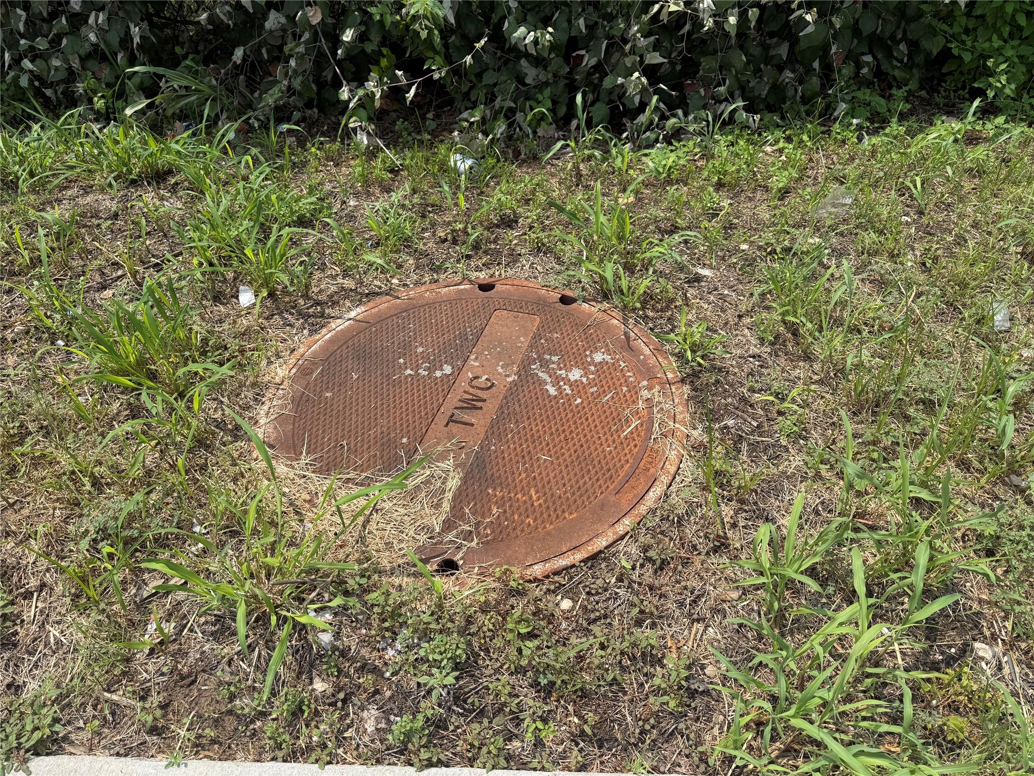 Photo 29