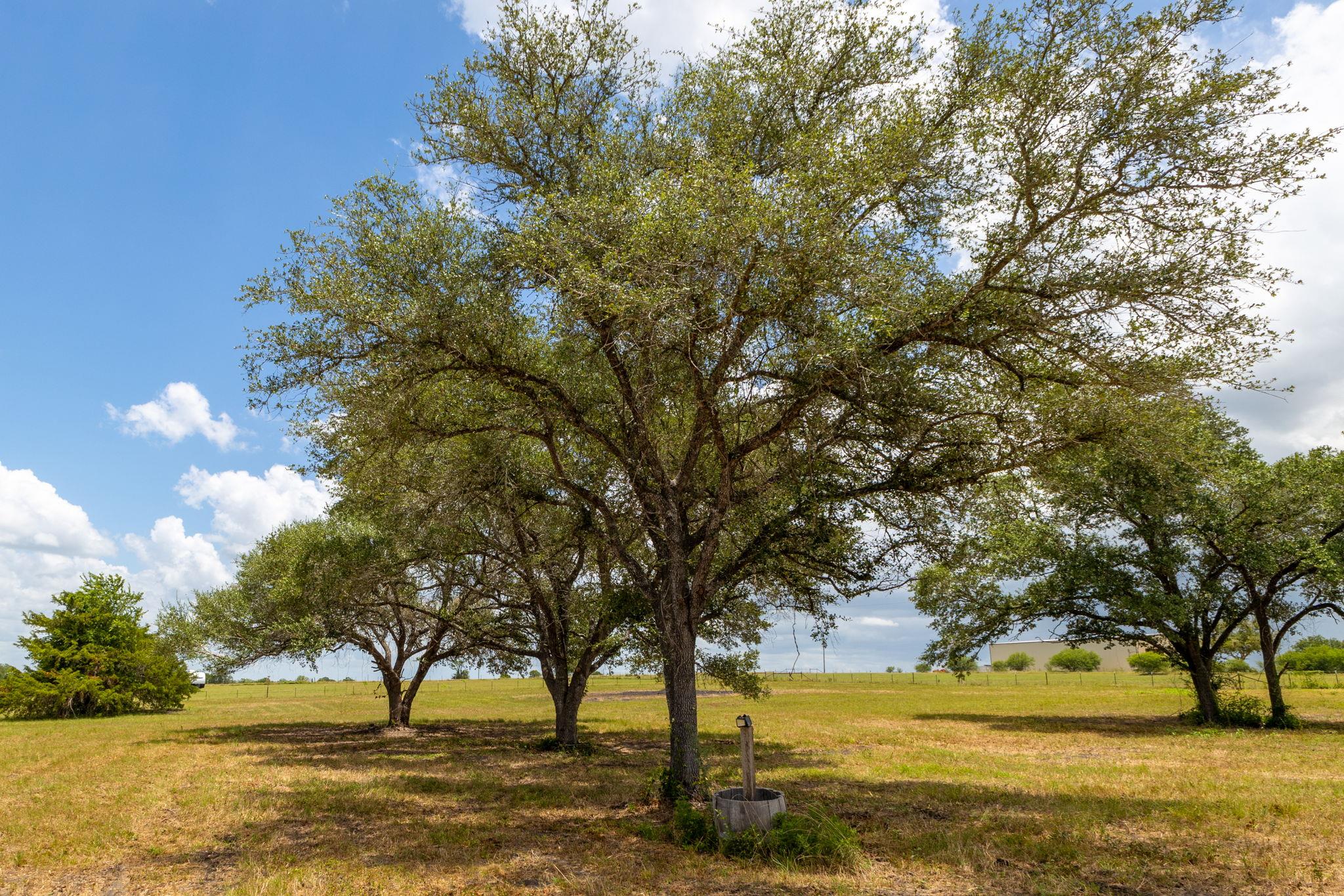 1021 Old Hallettsville