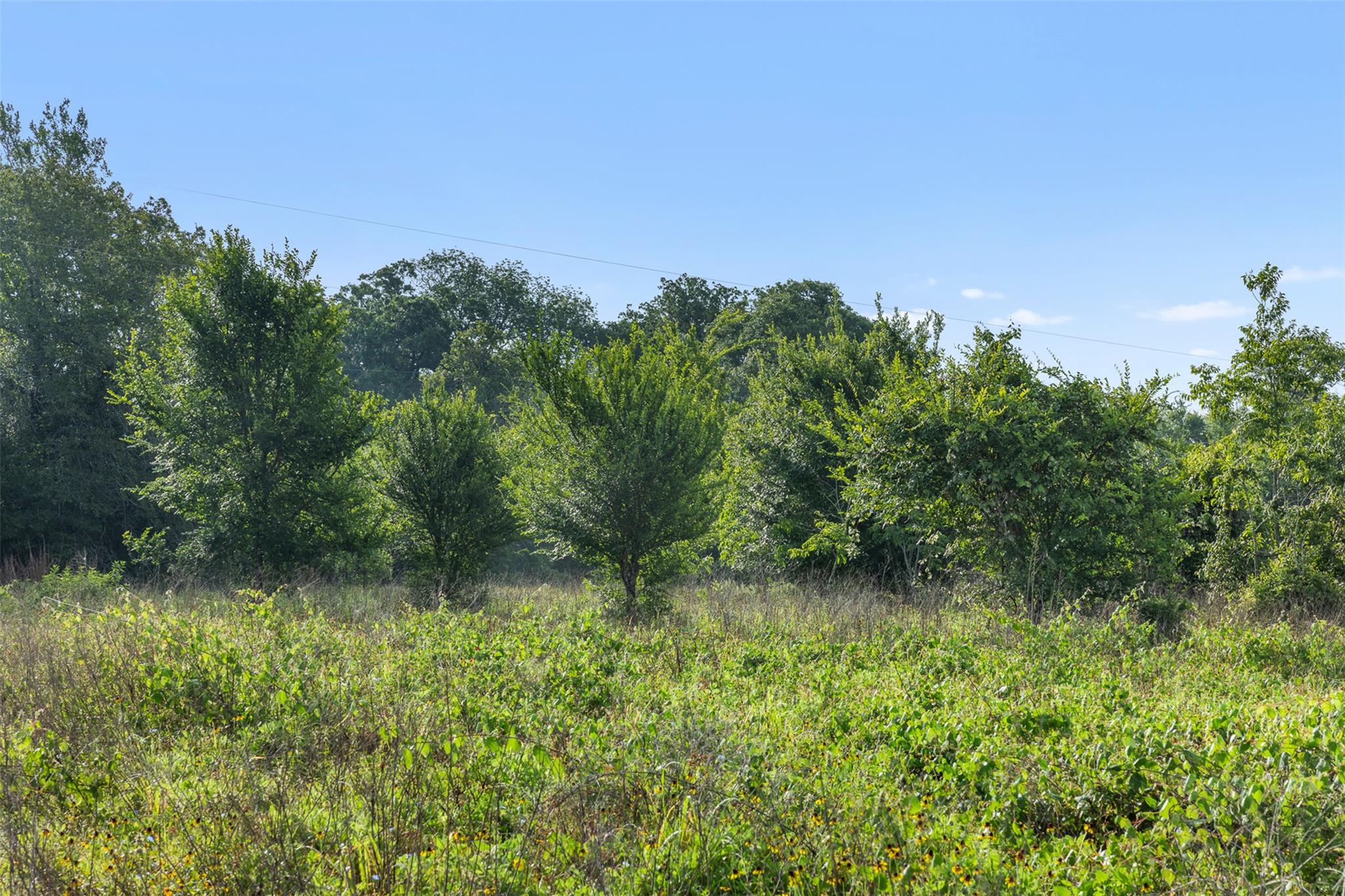 Photo 32