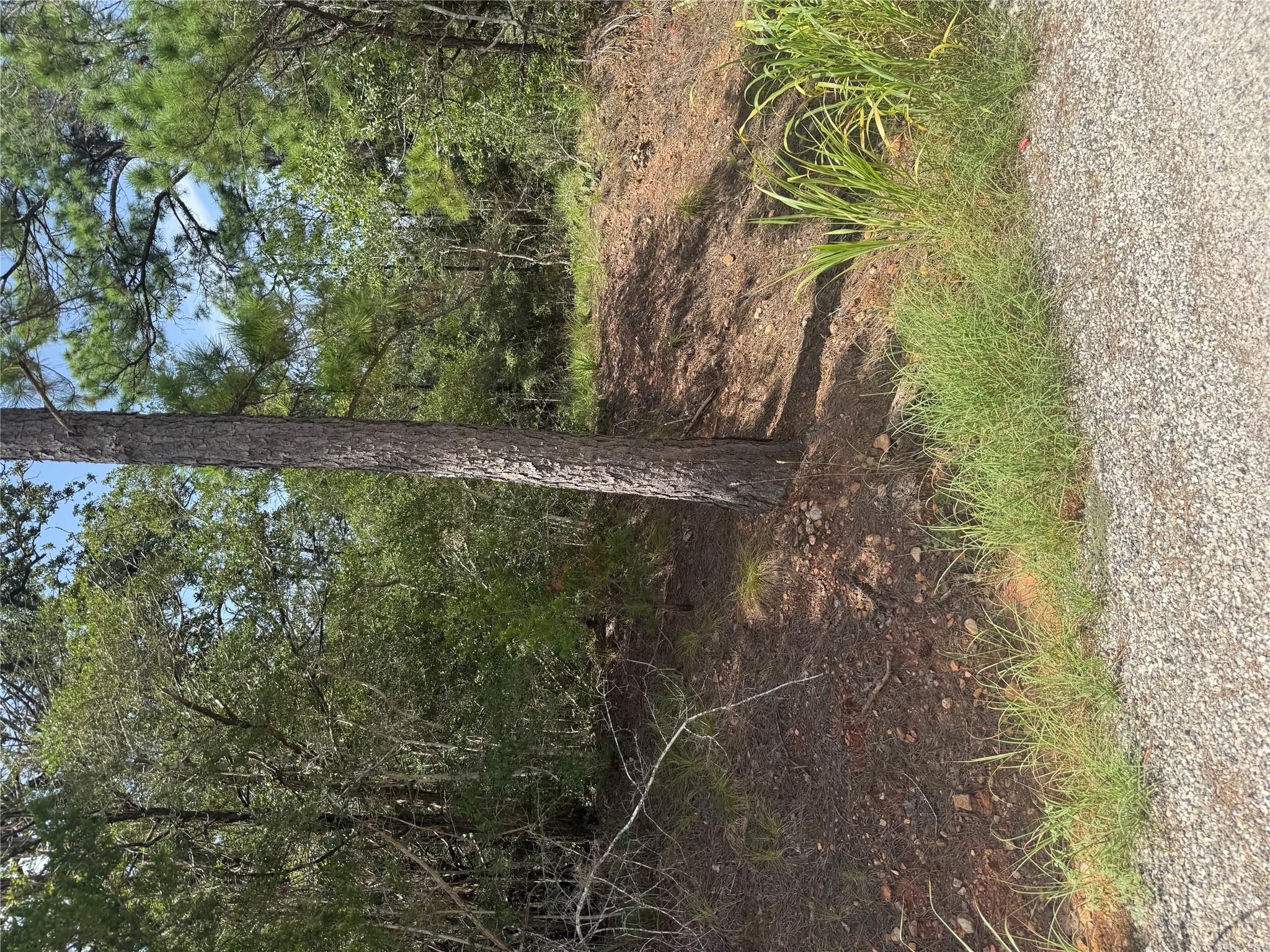 Unimproved Land