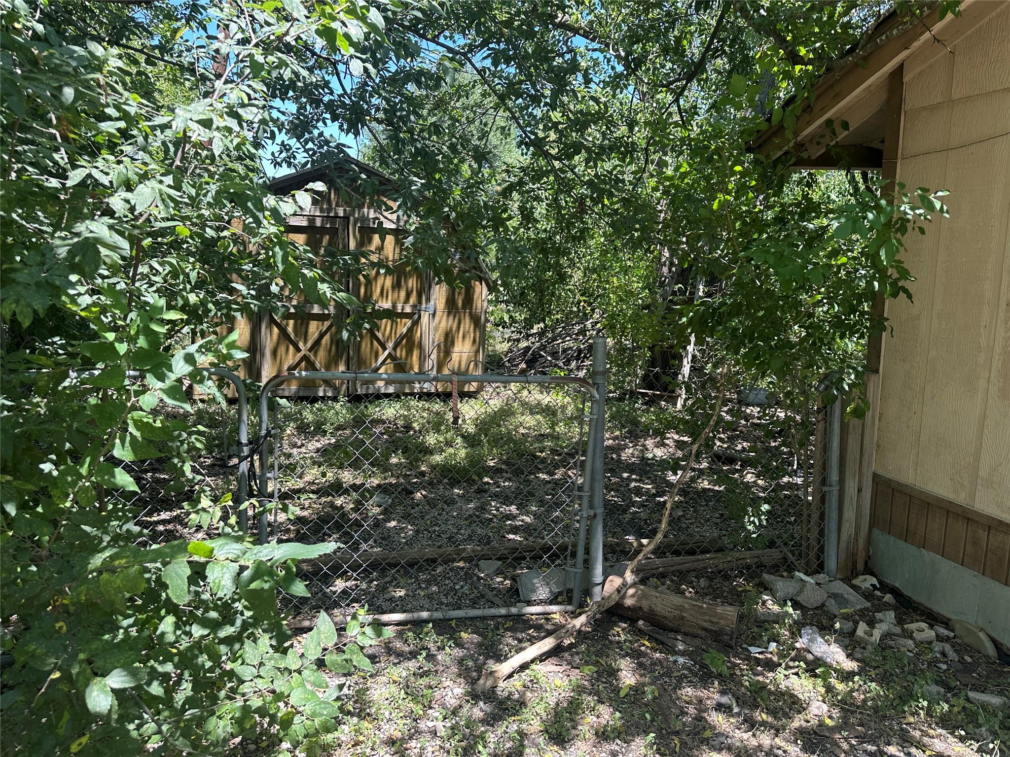 Photo 4
