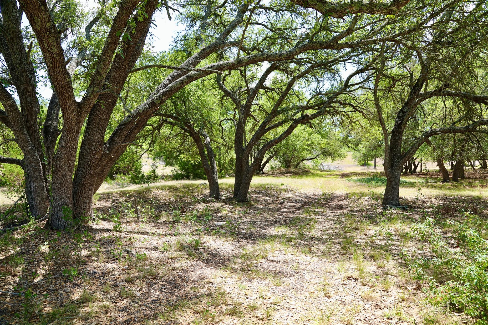 Photo 38