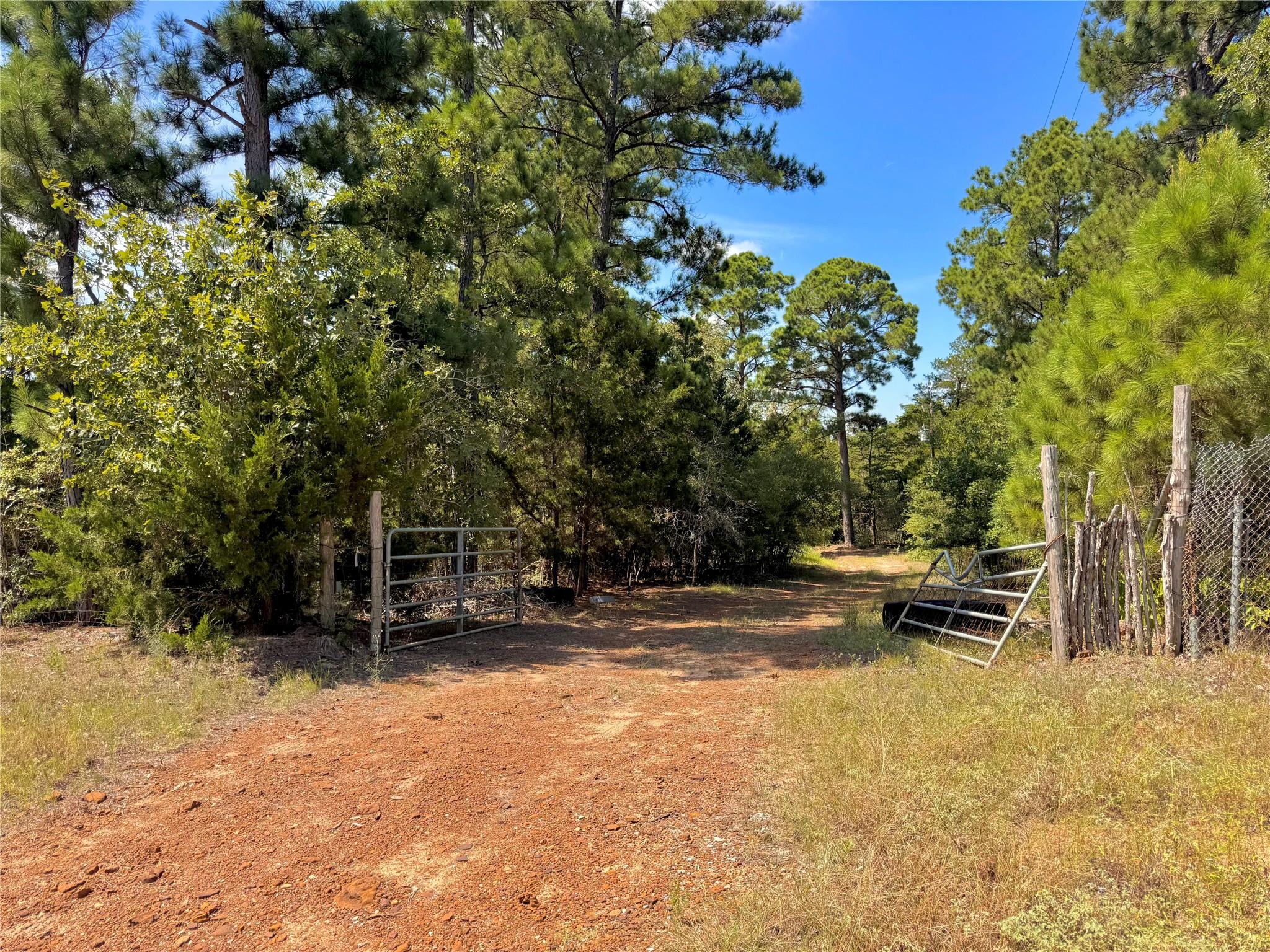 445 Pine Valley