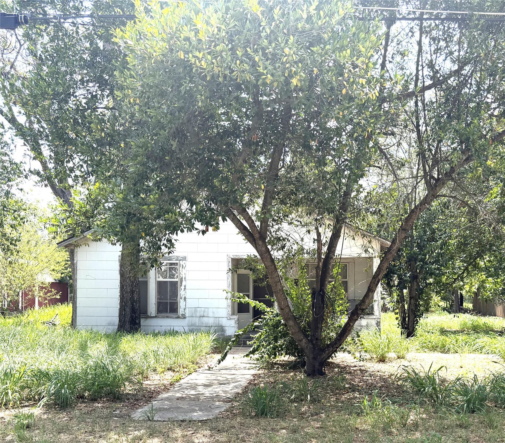 Photo 11