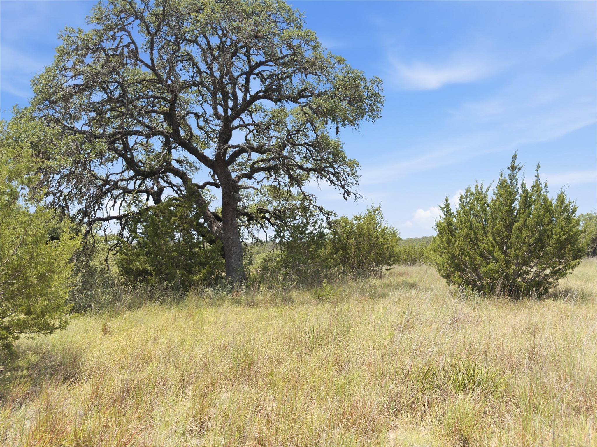 963 Summit Ridge Trail