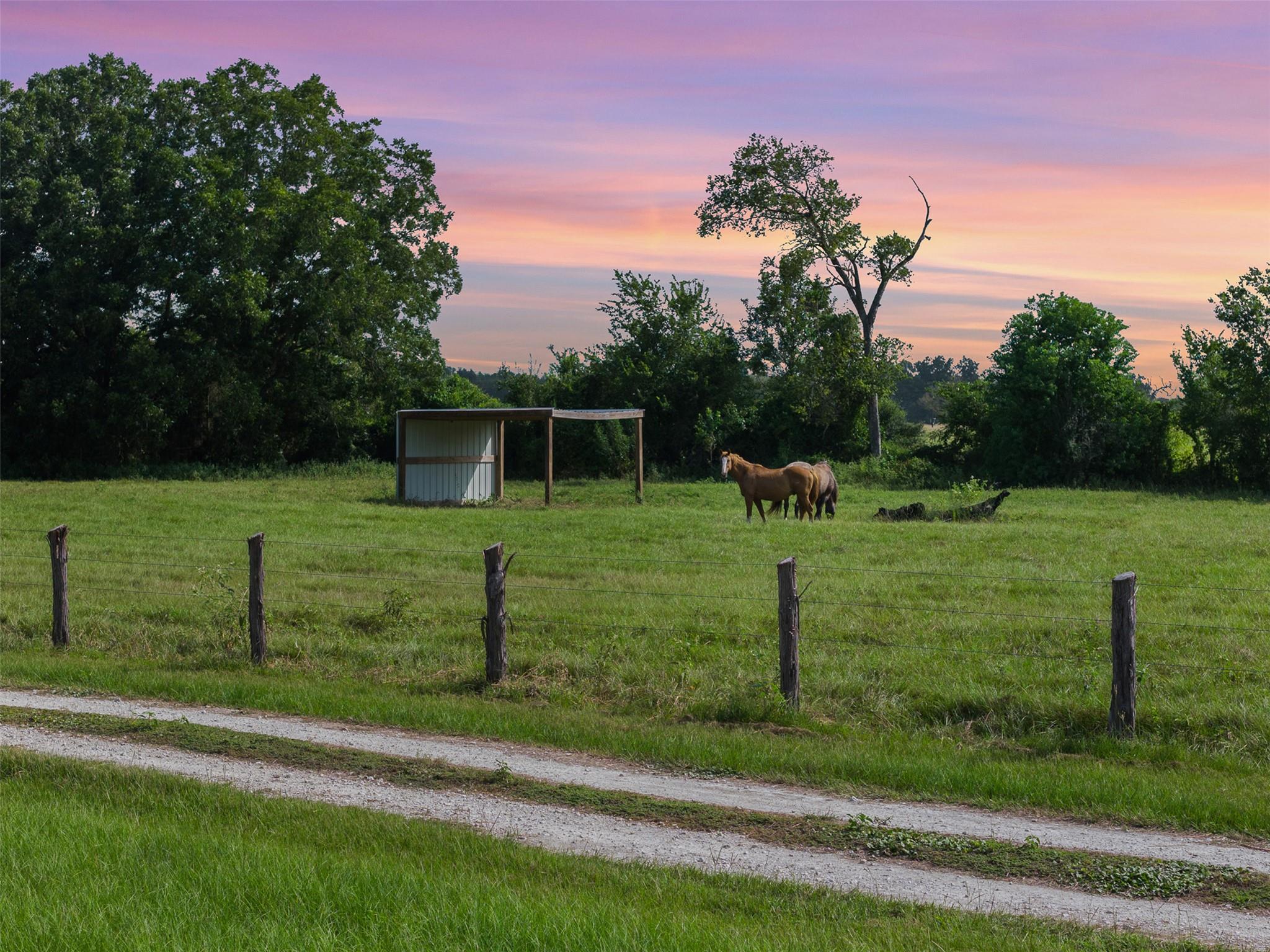 11043 County Road 336