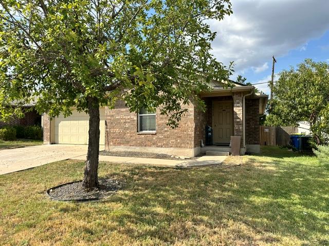 18412 Willow Sage