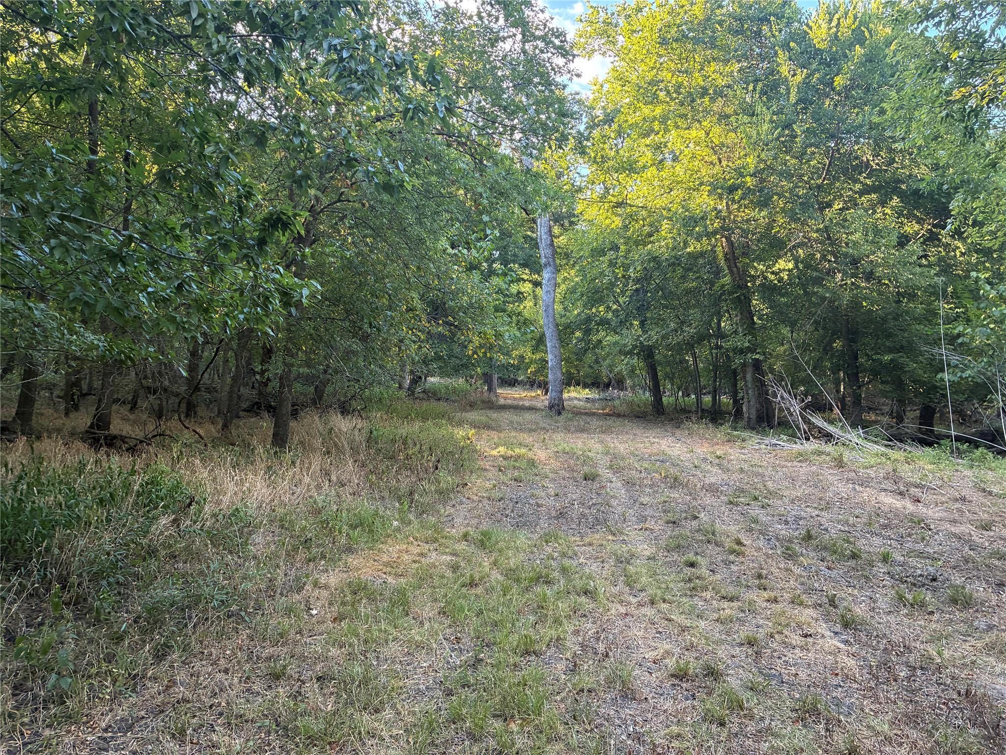 Photo 28