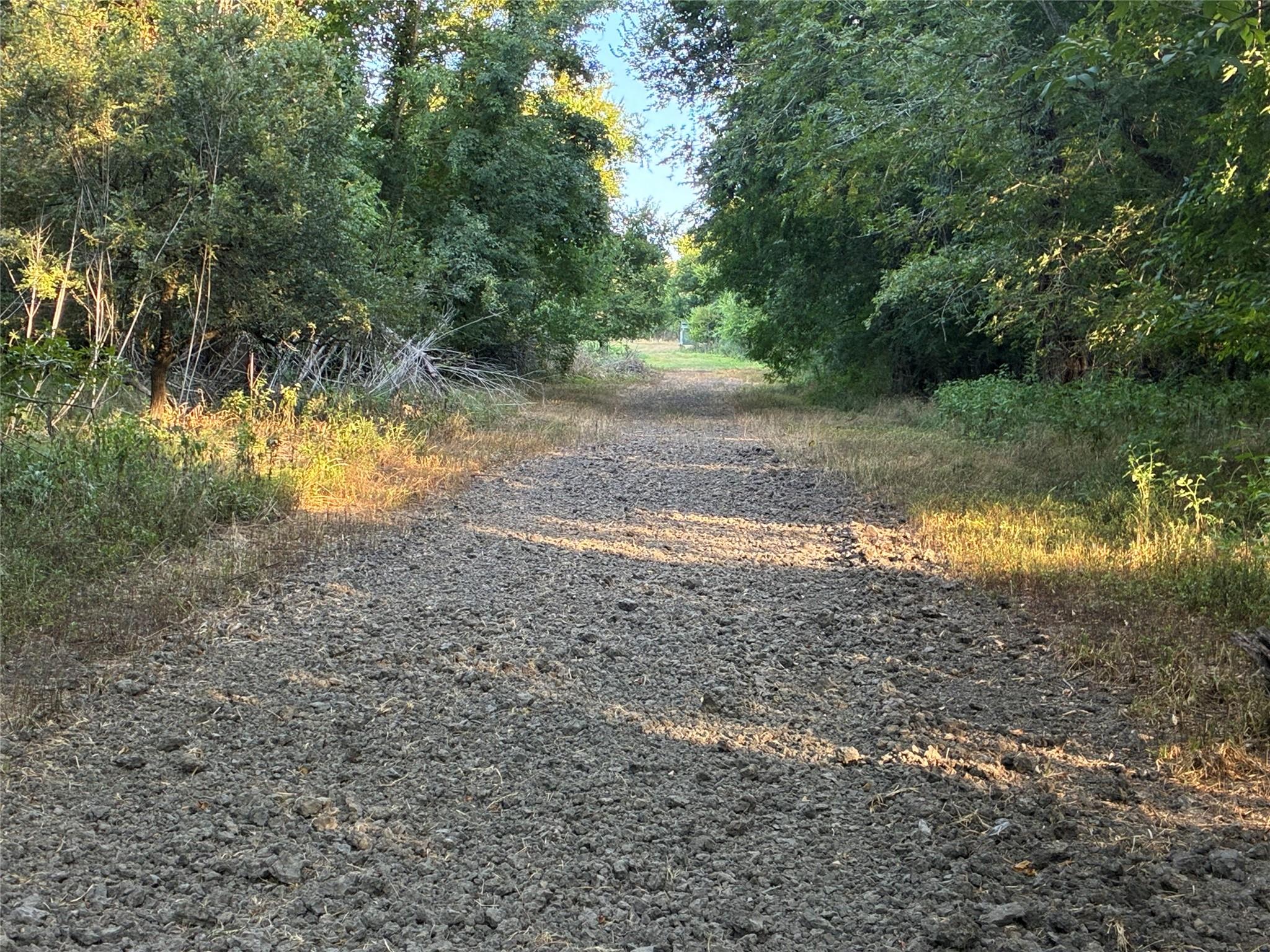 Photo 32