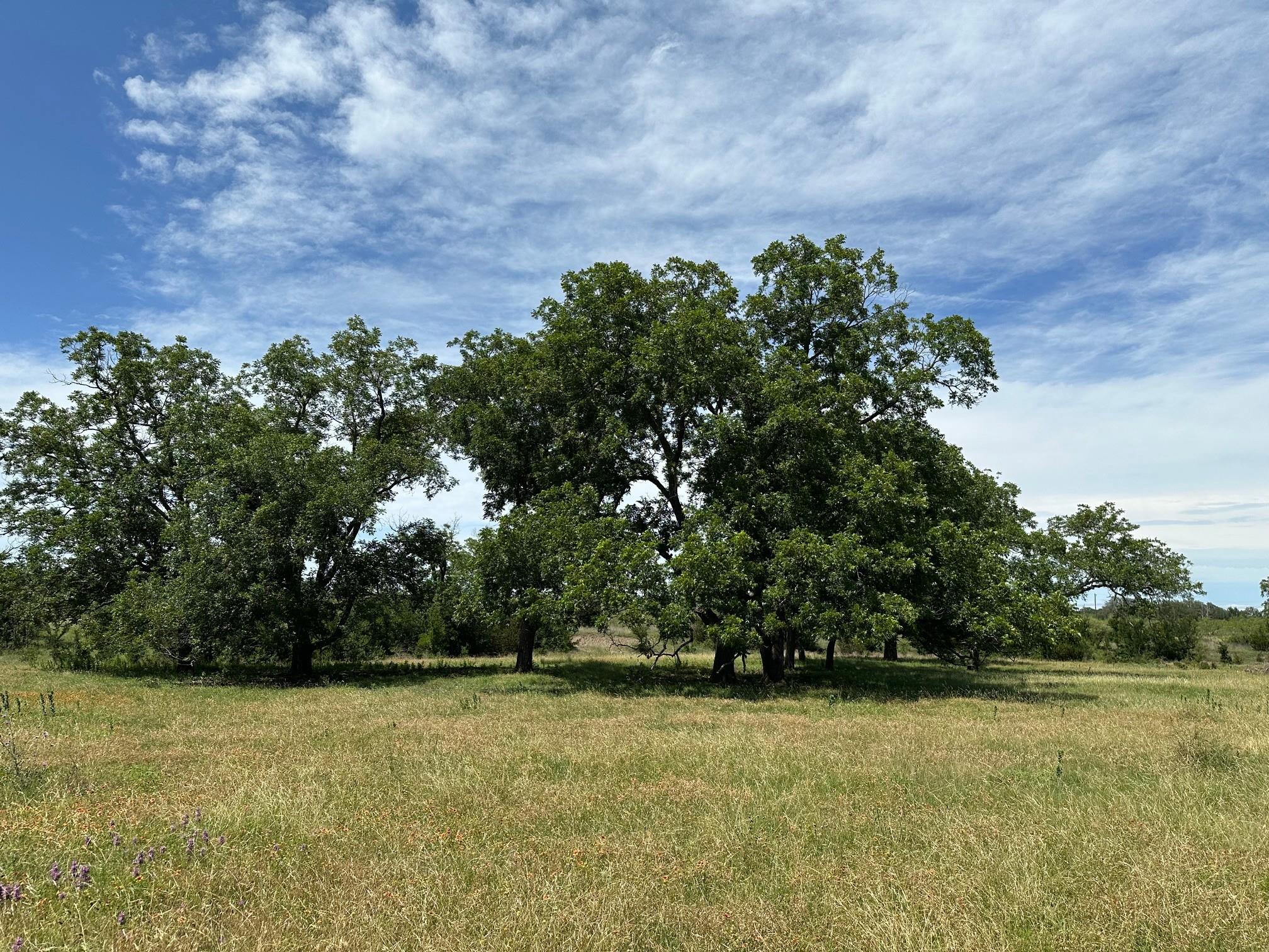 Ranch