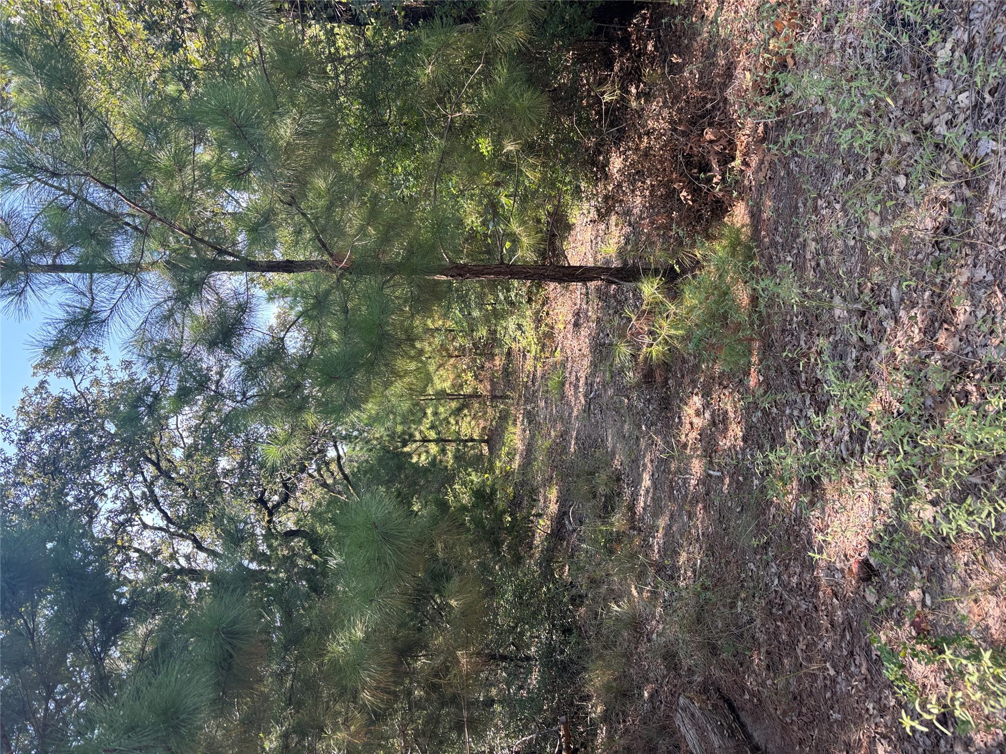 667 Paint Creek South