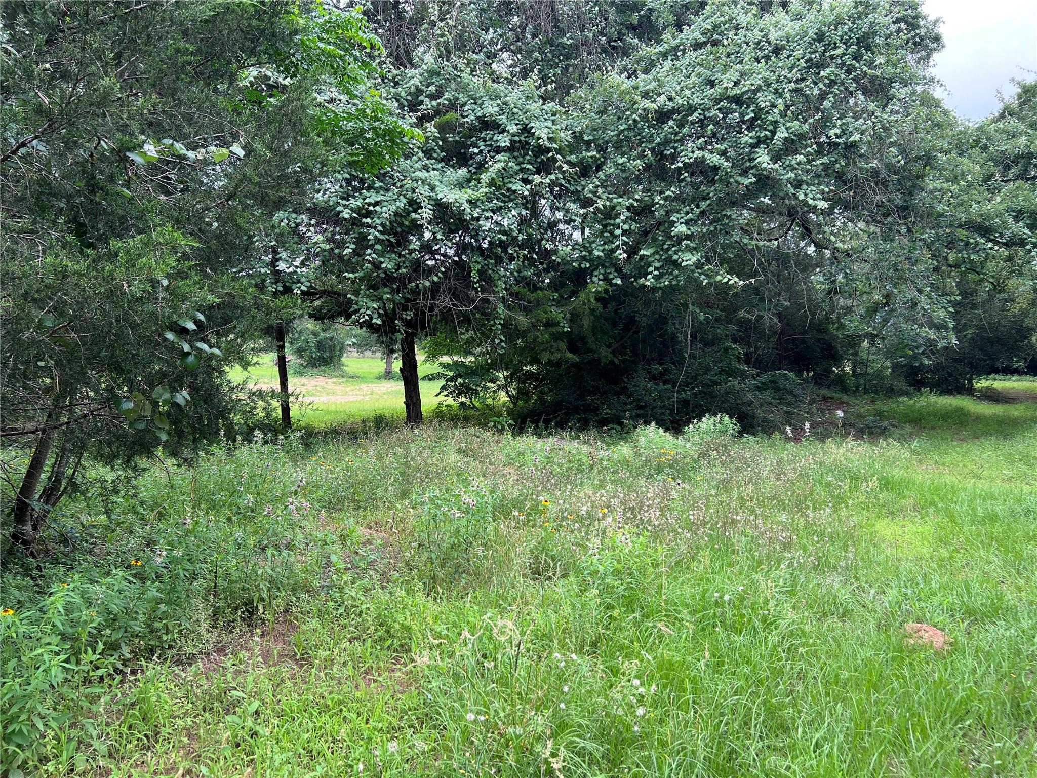 Photo 24