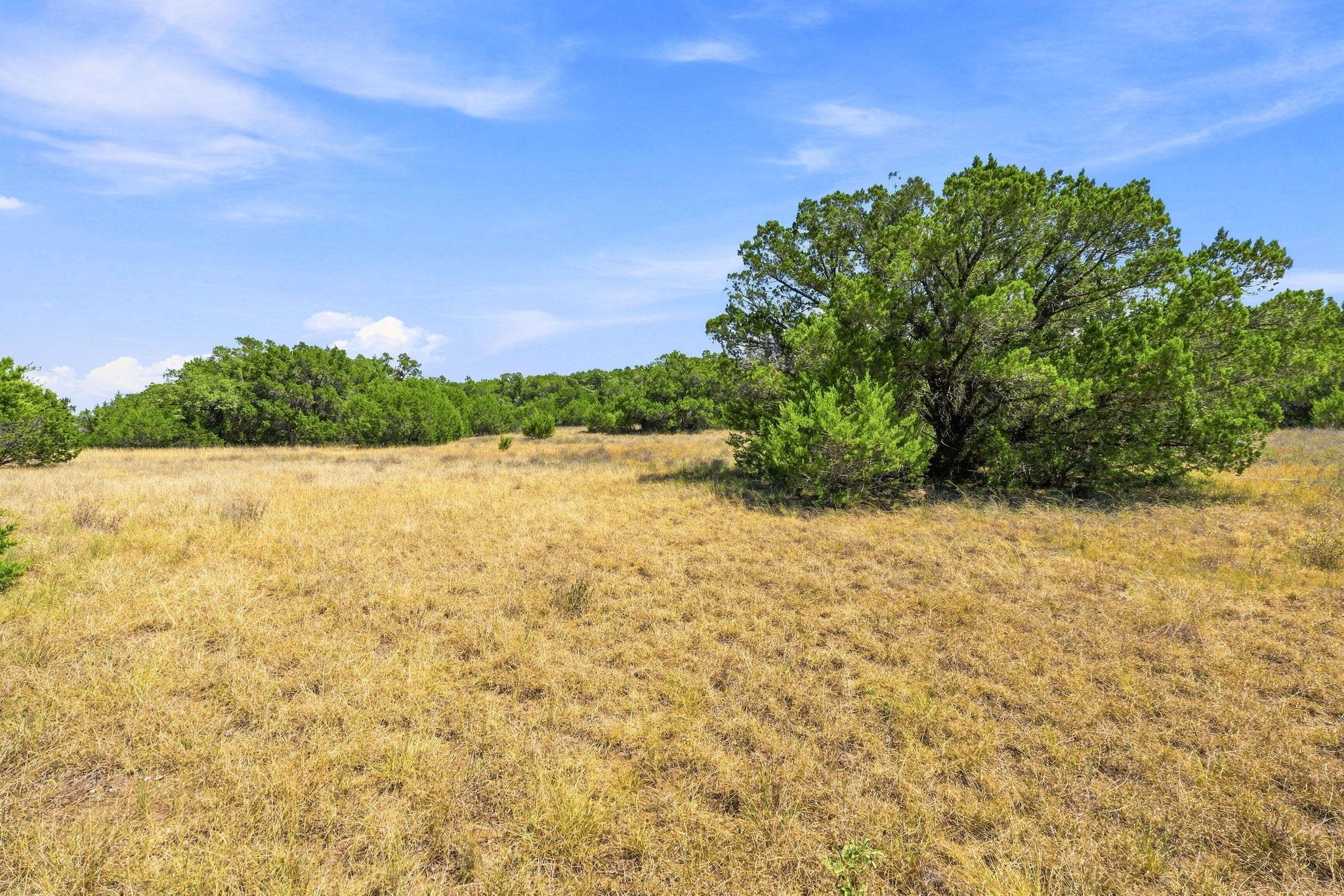 TBD Tract 1 & 2 (22.5 Ac) Lipan