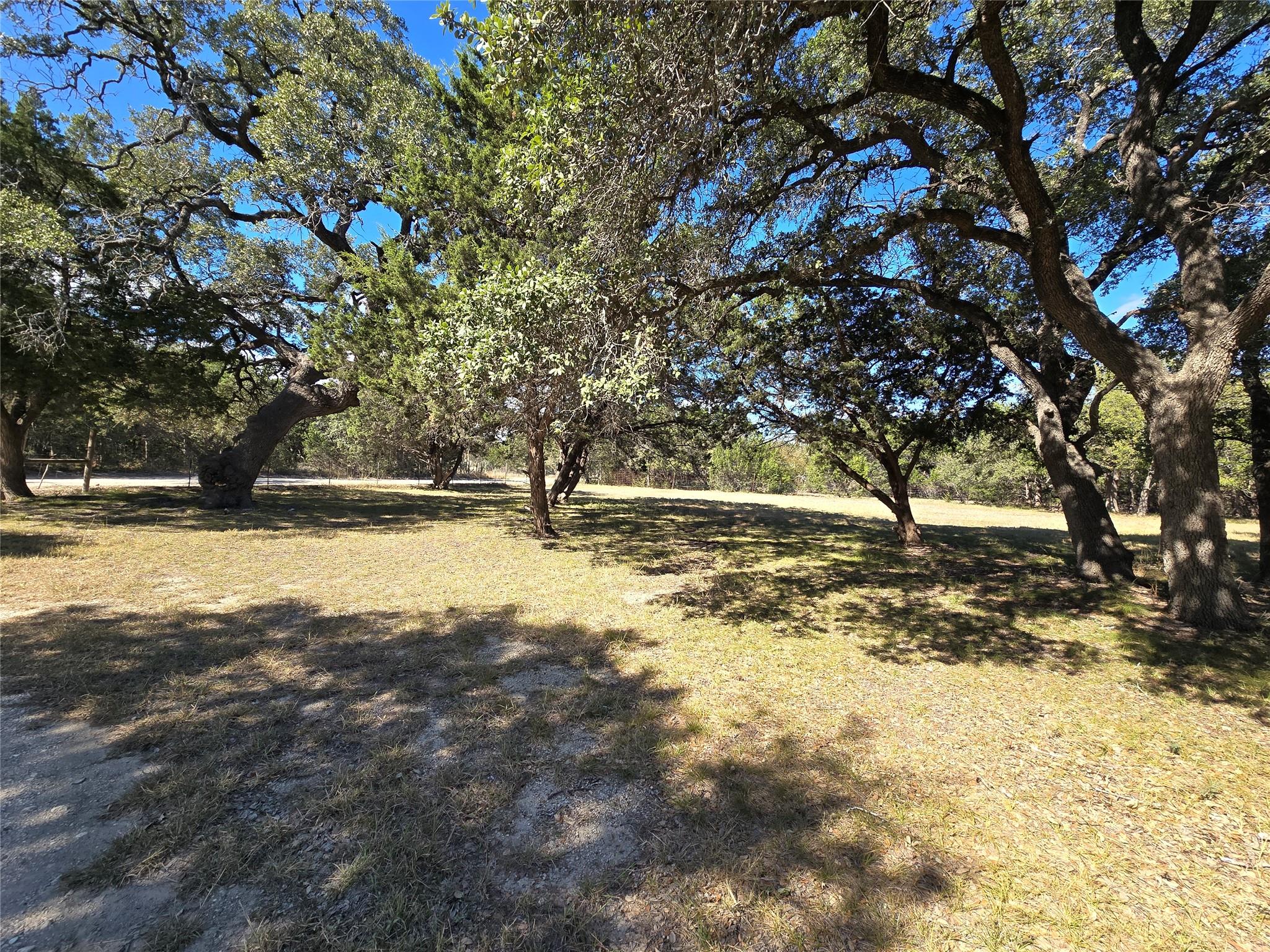 351 Live Oak