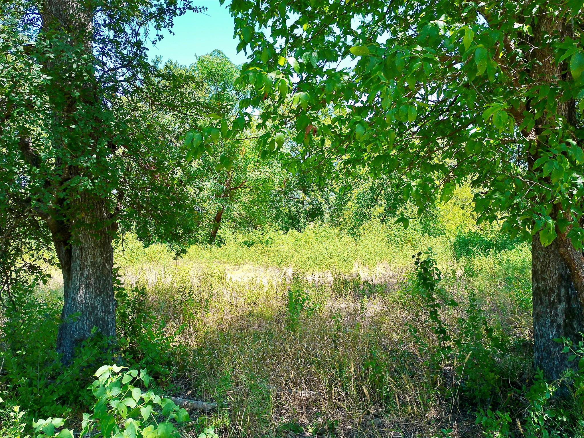 Photo 30