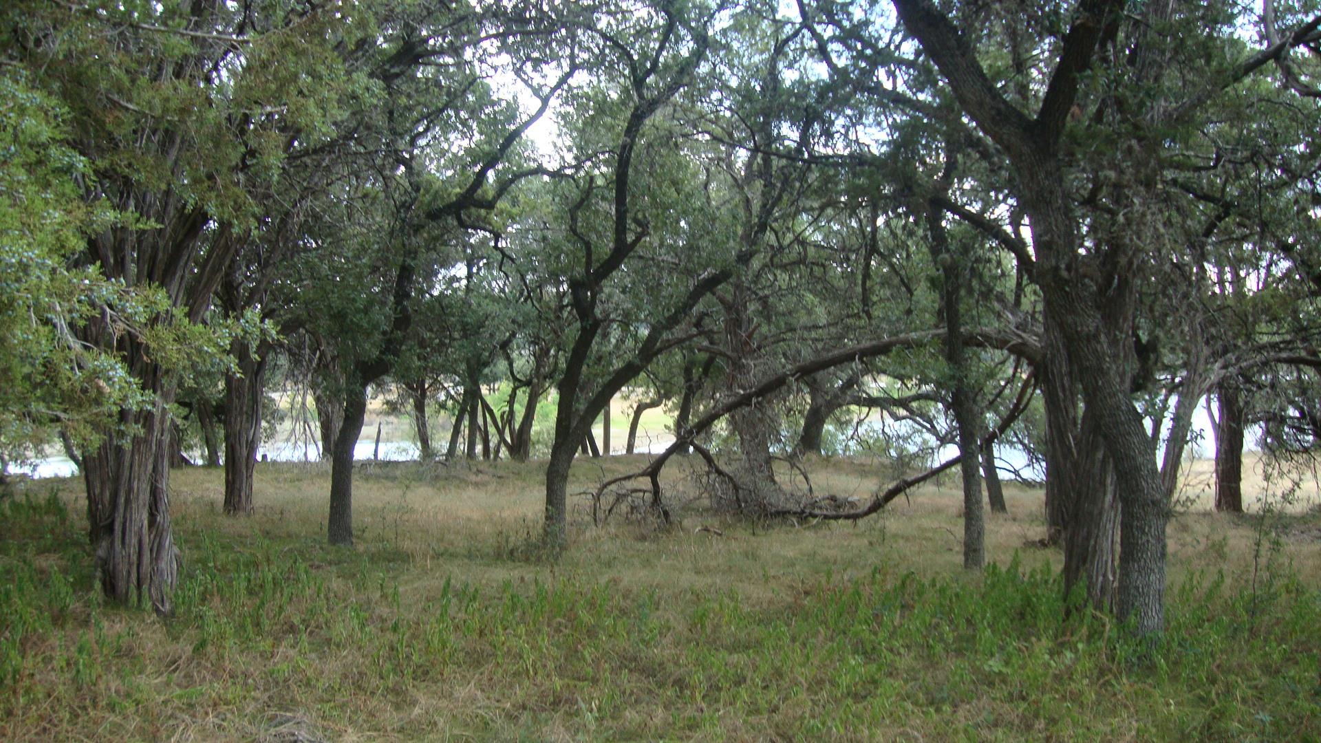 6703 Bar K Ranch