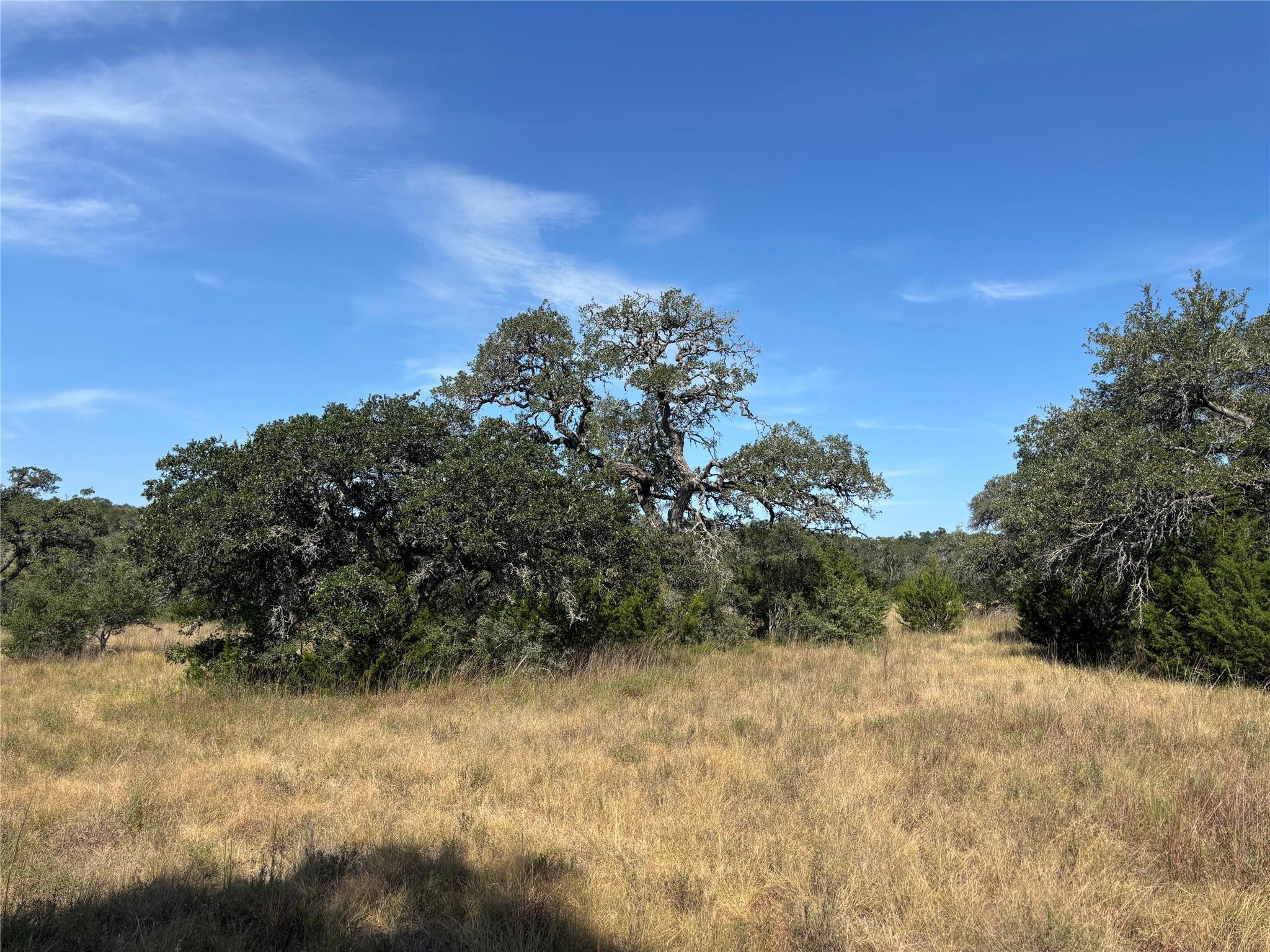 Ranch