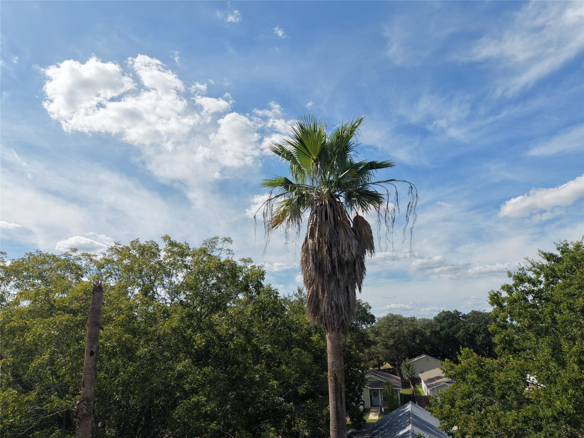 Photo 37