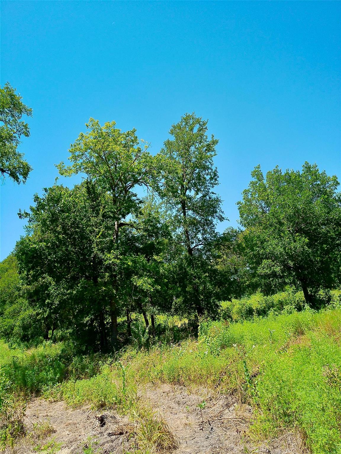 Lot 22 Serenity
