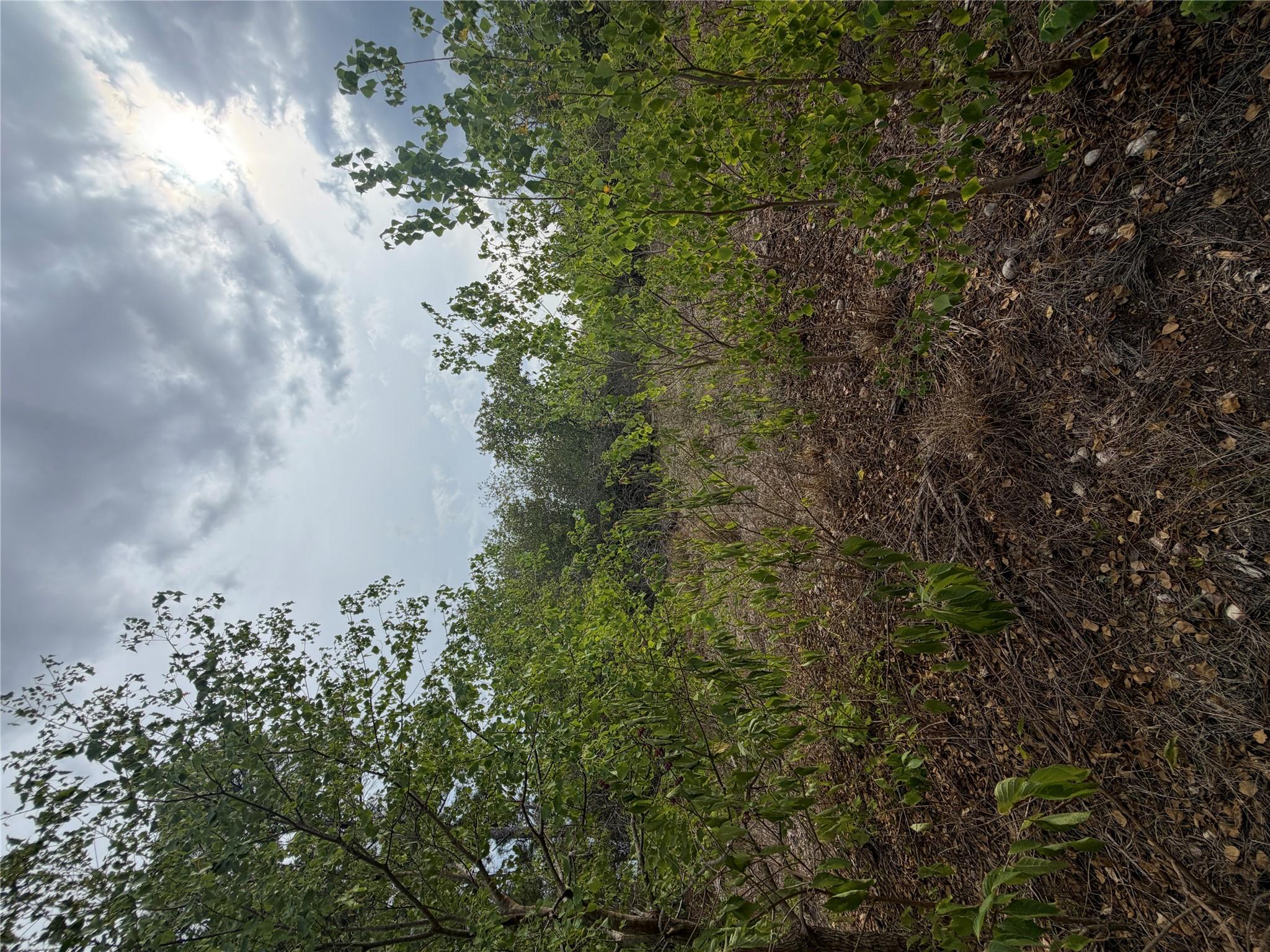 Unimproved Land