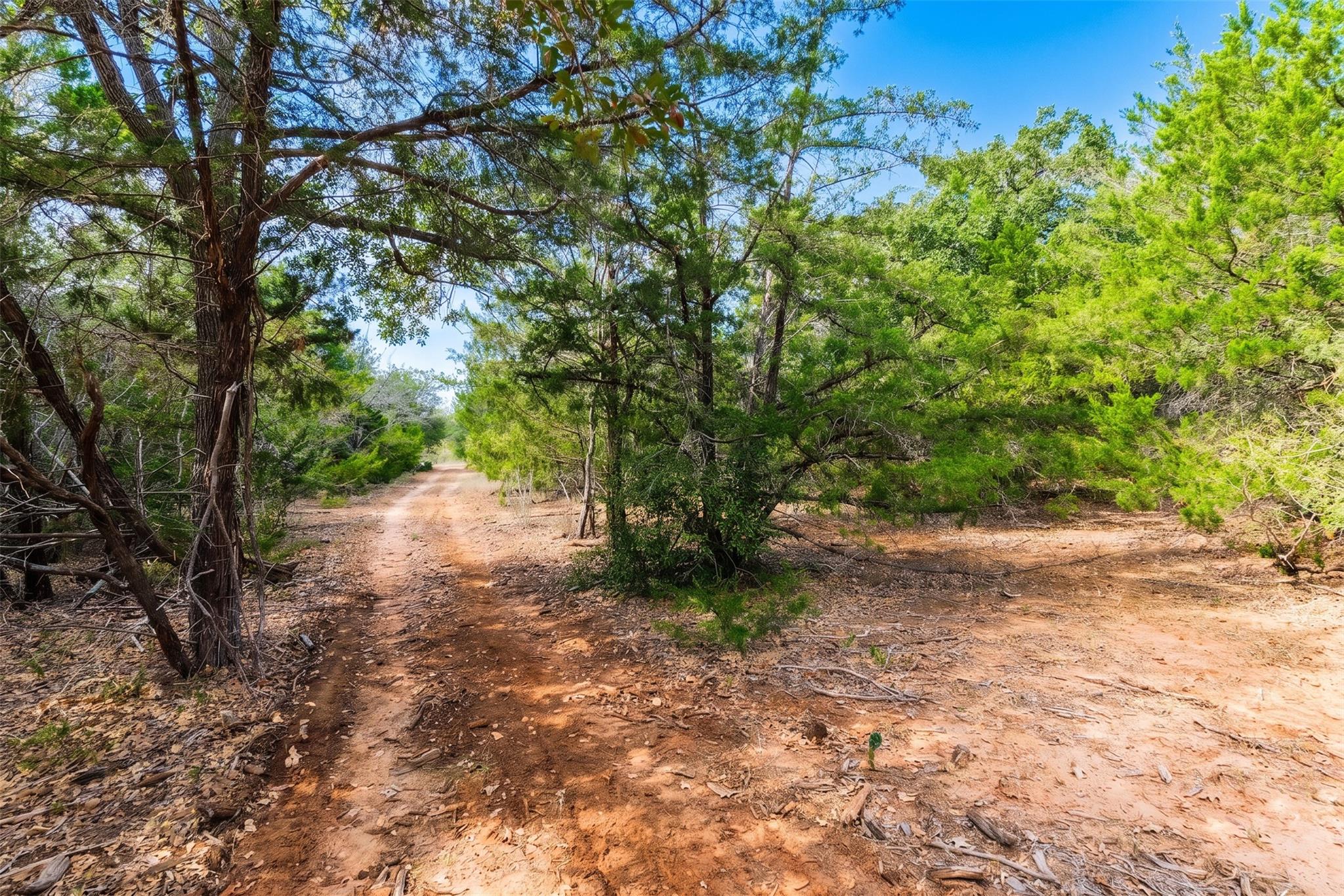 12 Acres Mt Pleasant