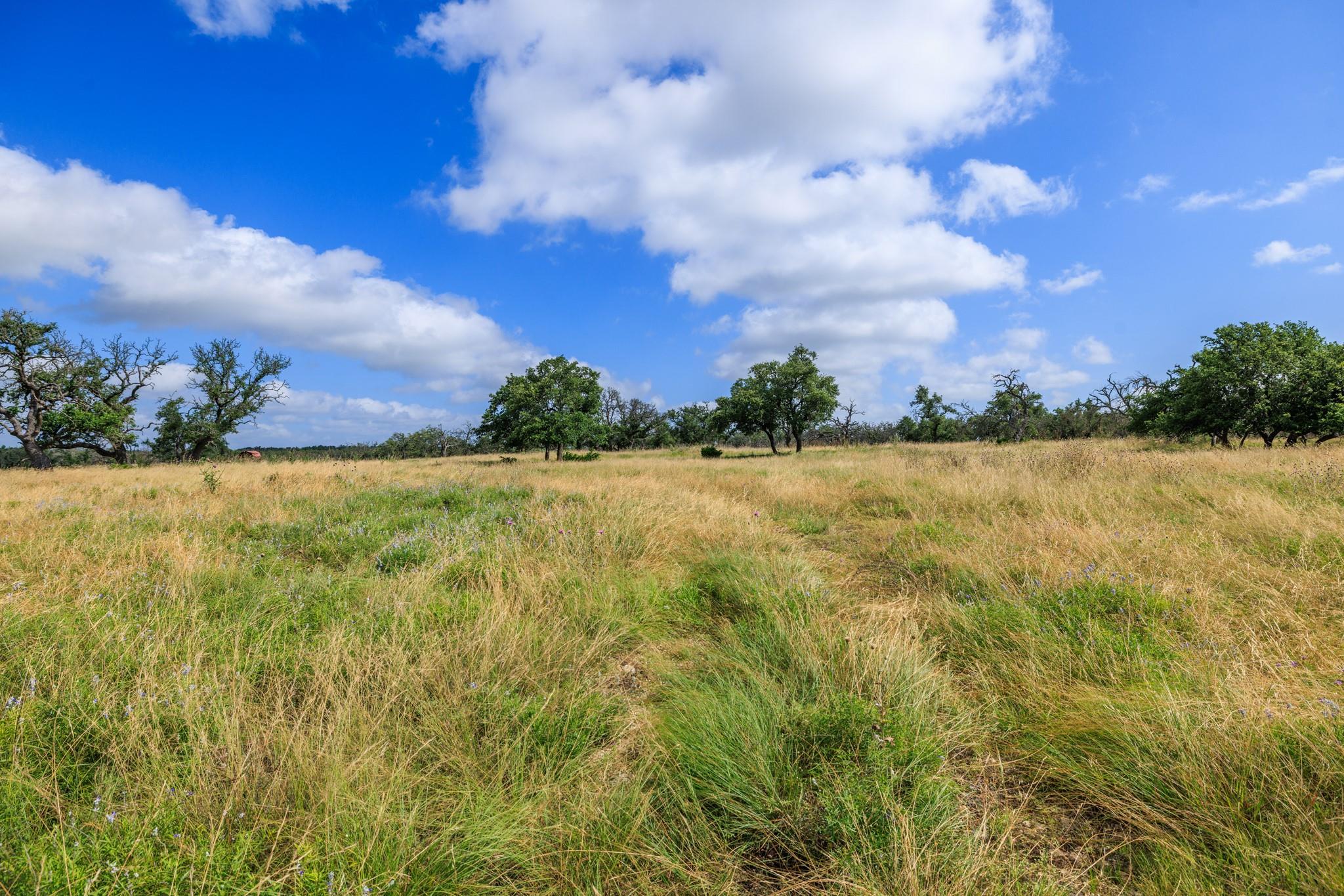 Unimproved Land