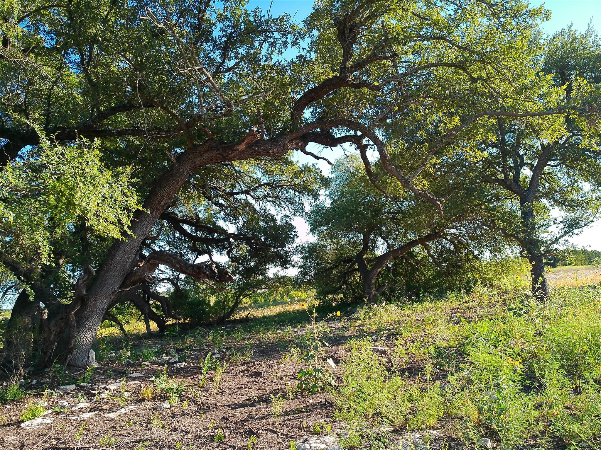 Unimproved Land