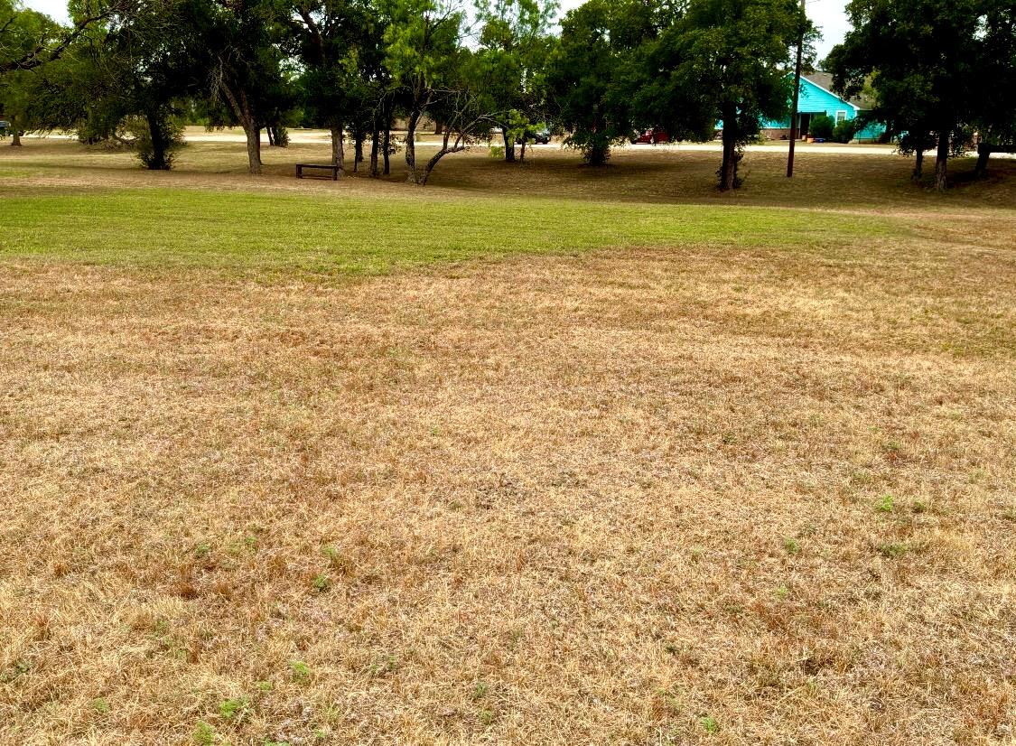 Unimproved Land