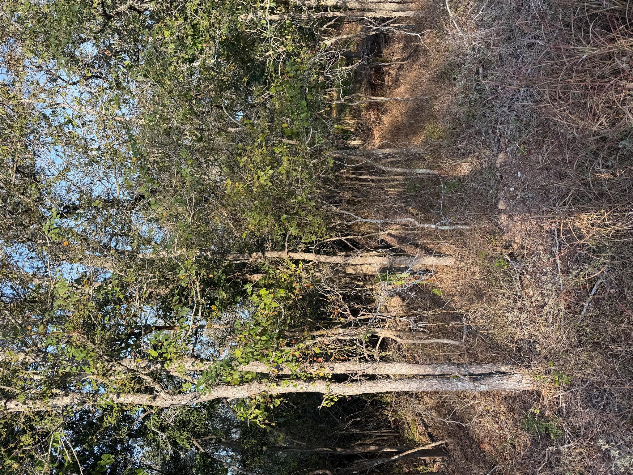 Unimproved Land