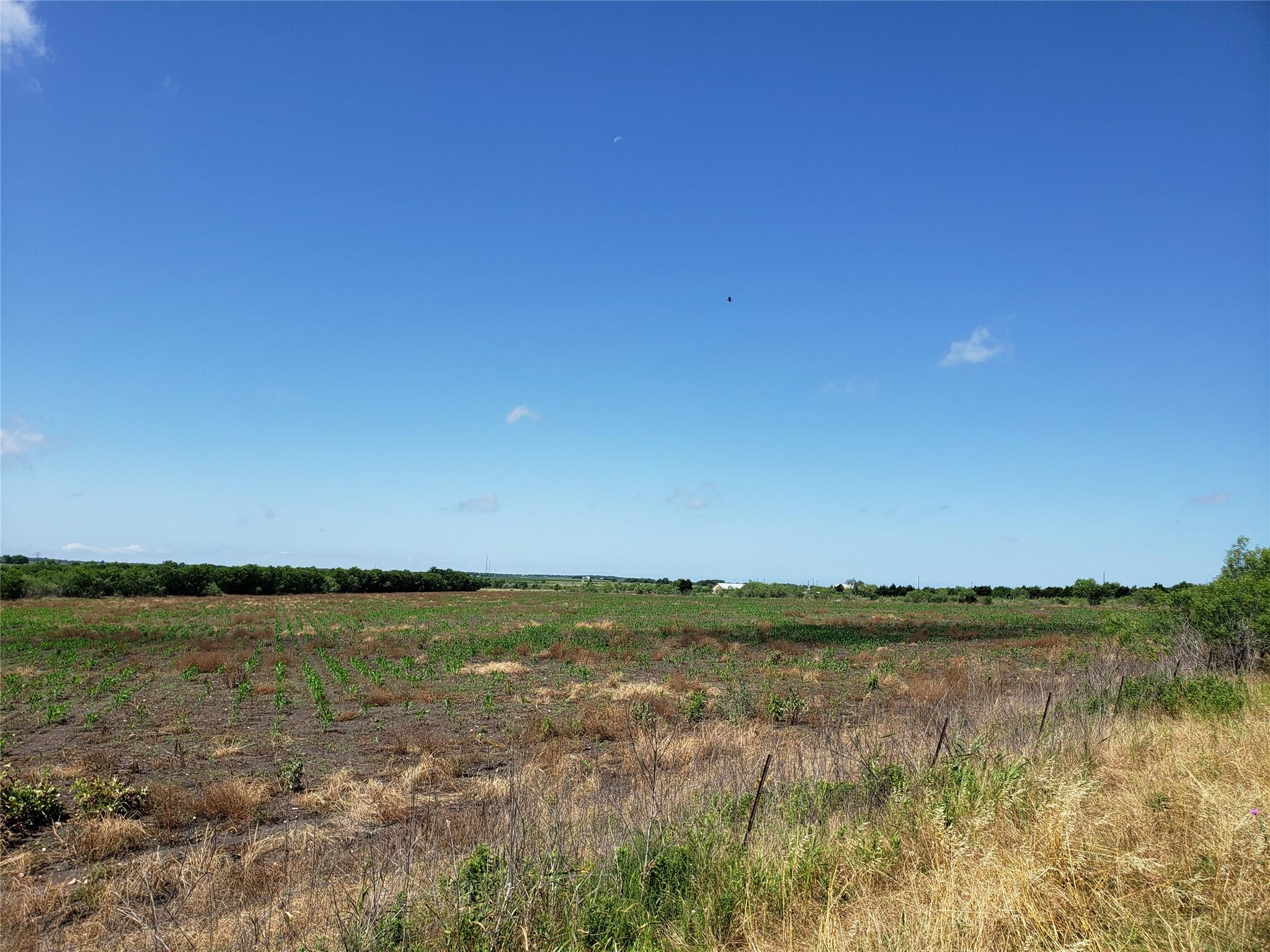 Ranch
