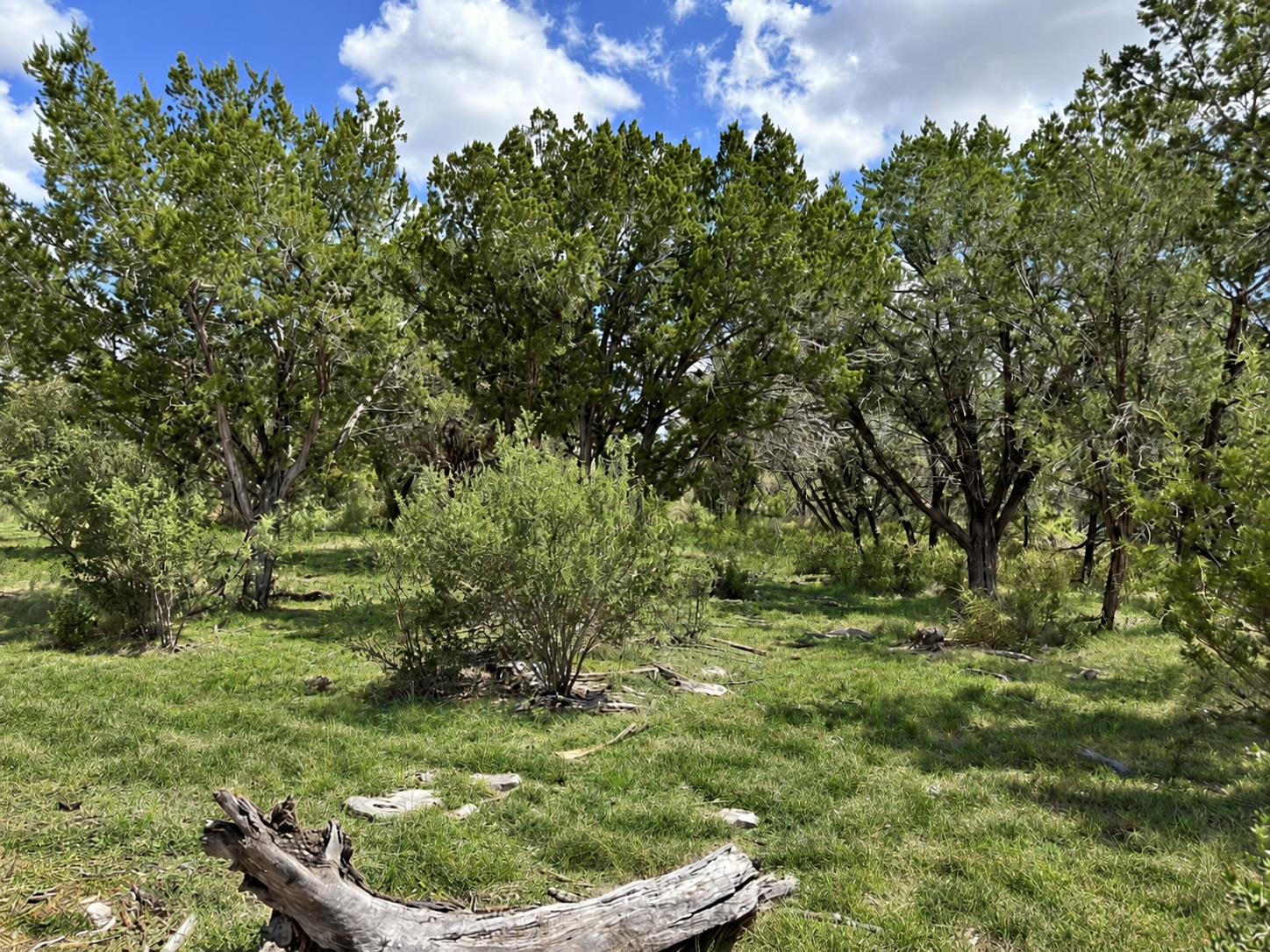 Unimproved Land