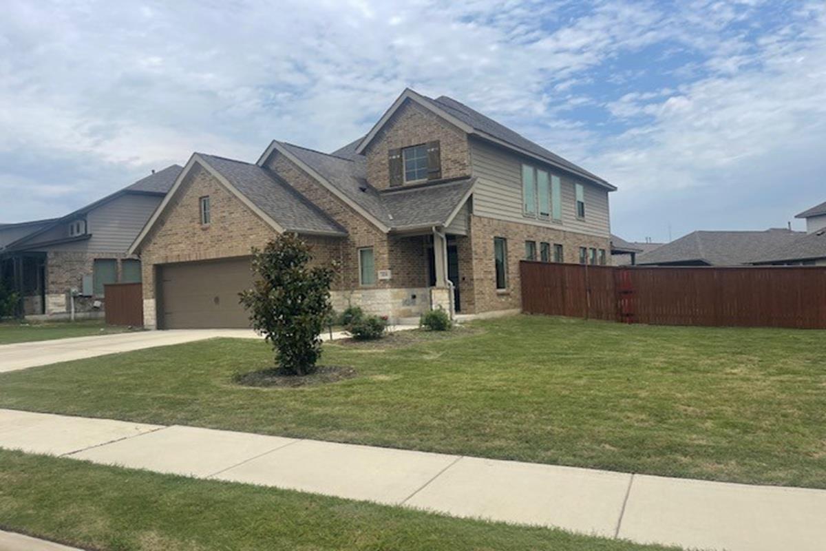 224 Rosebush