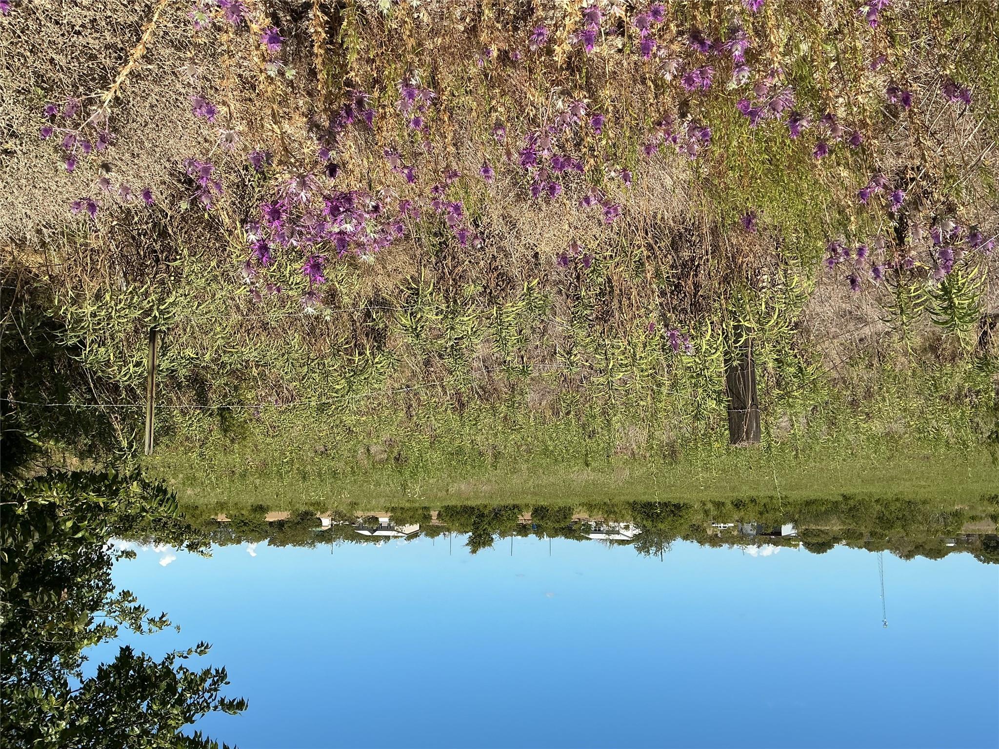 Unimproved Land