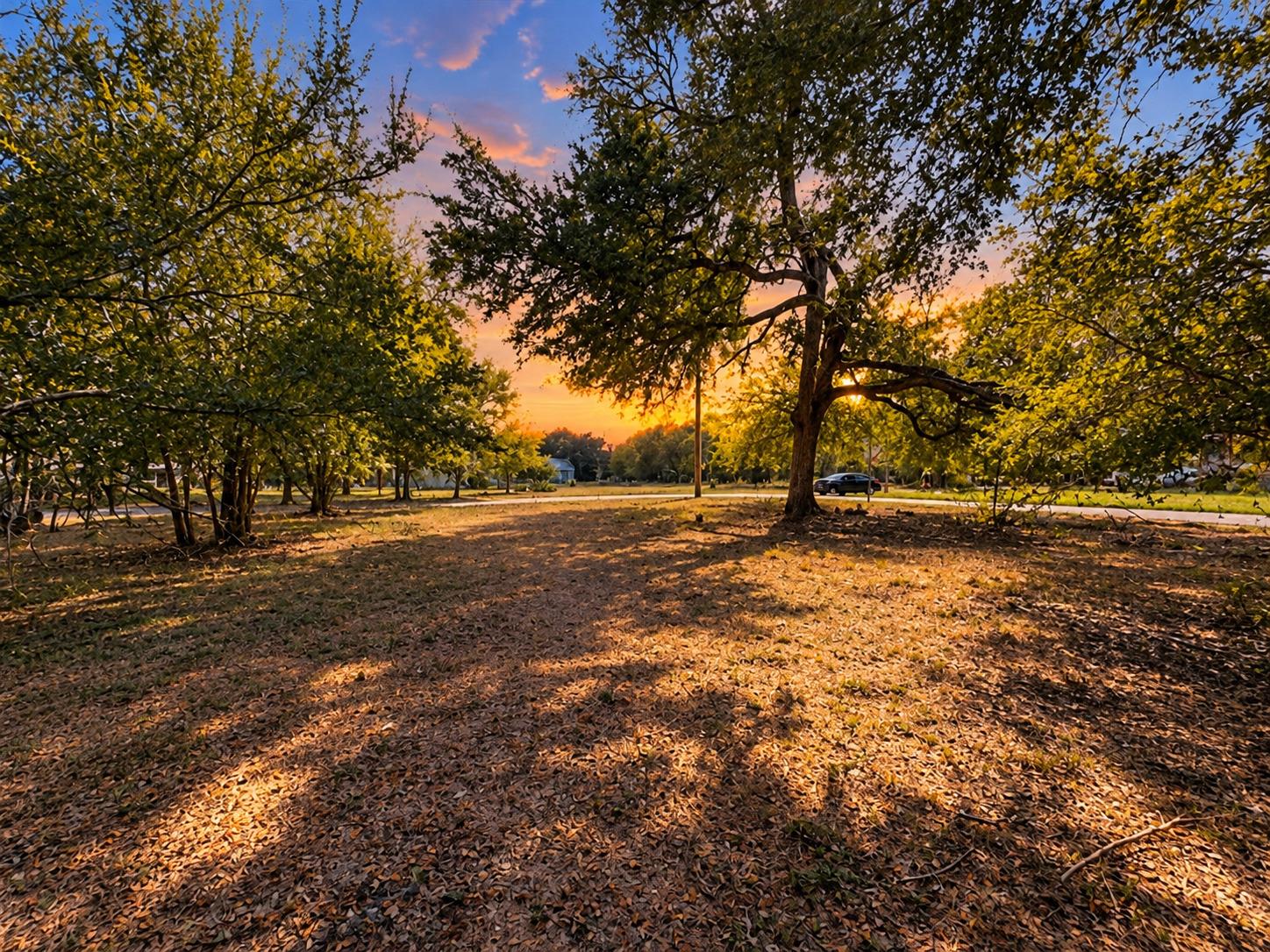 Unimproved Land
